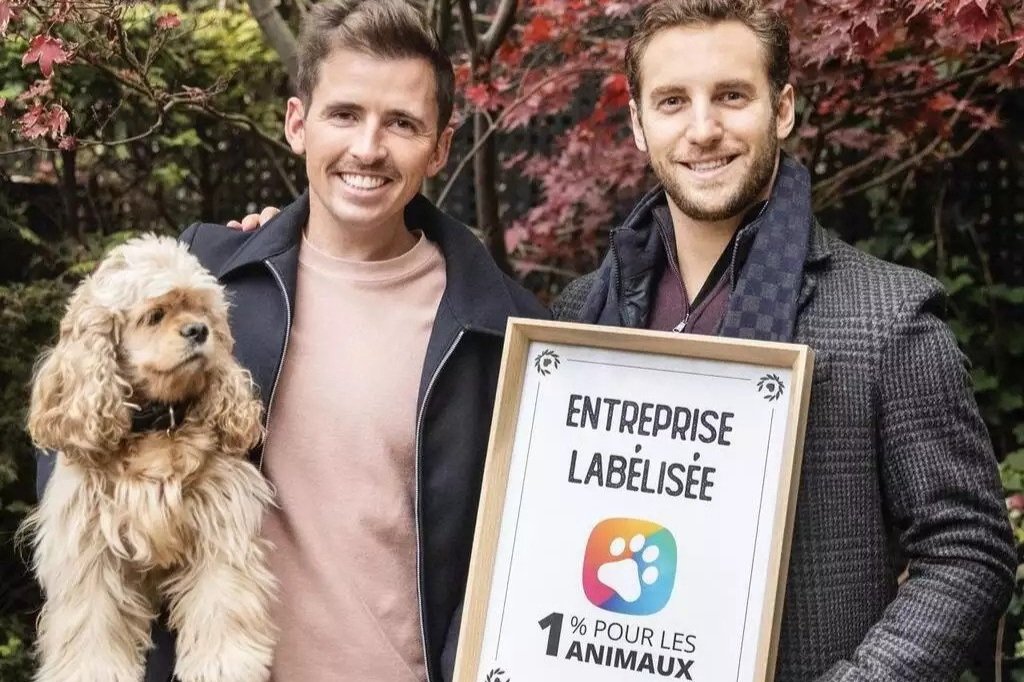 YLG, une agence engagée pour la cause animale