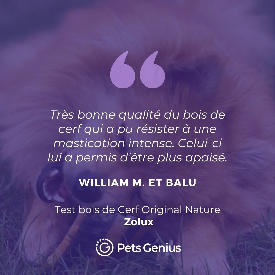 Pour d&eacute;couvrir des avis testeurs sur les produits de nos marques c&rsquo;est ici ! 

#PetsGenius #testproduit #produitoffert #produitgratuit #testeurproduit #pets #chien #chat