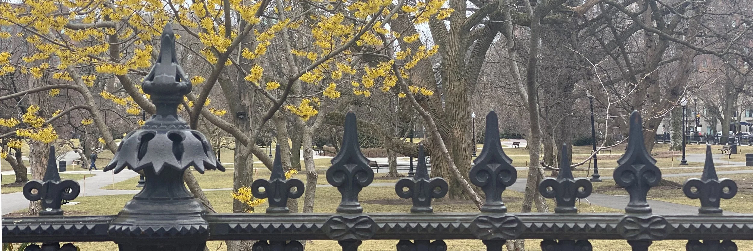 BannerPhoto11_2026.jpg