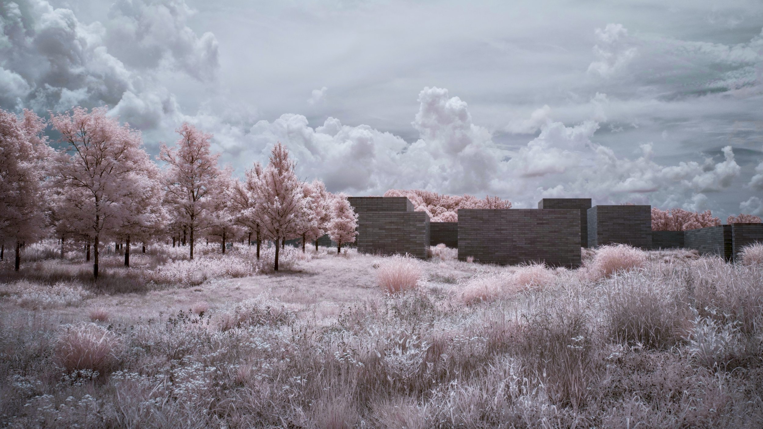 Glenstone | Potomac MD July 2023