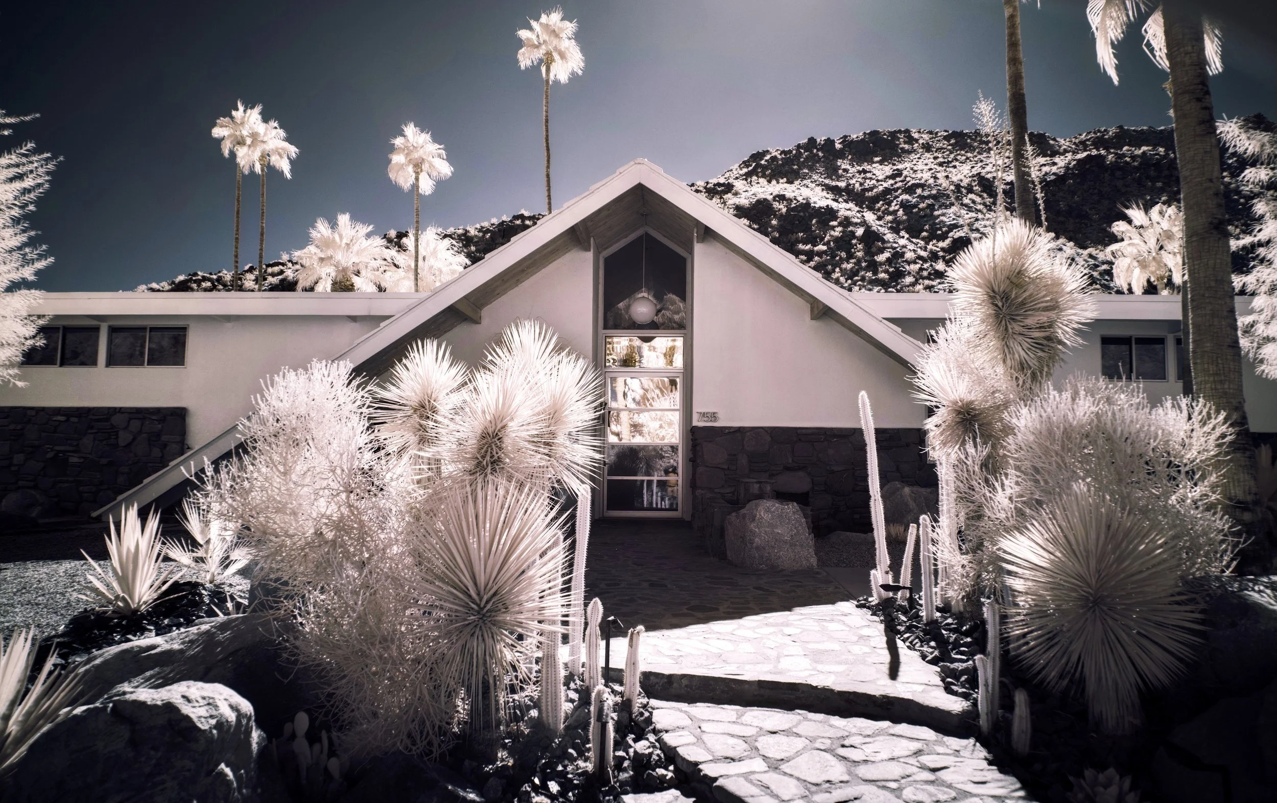 Palm Springs - 7.jpeg