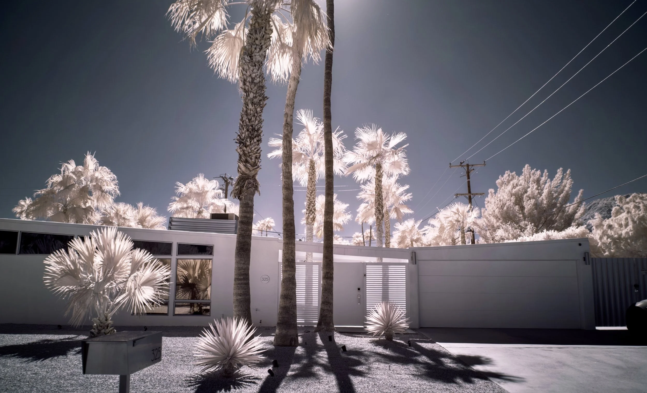 Palm Springs - 6.jpeg