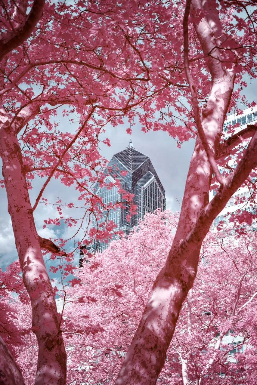 ALL Philly 590 - 5 of 7.jpeg