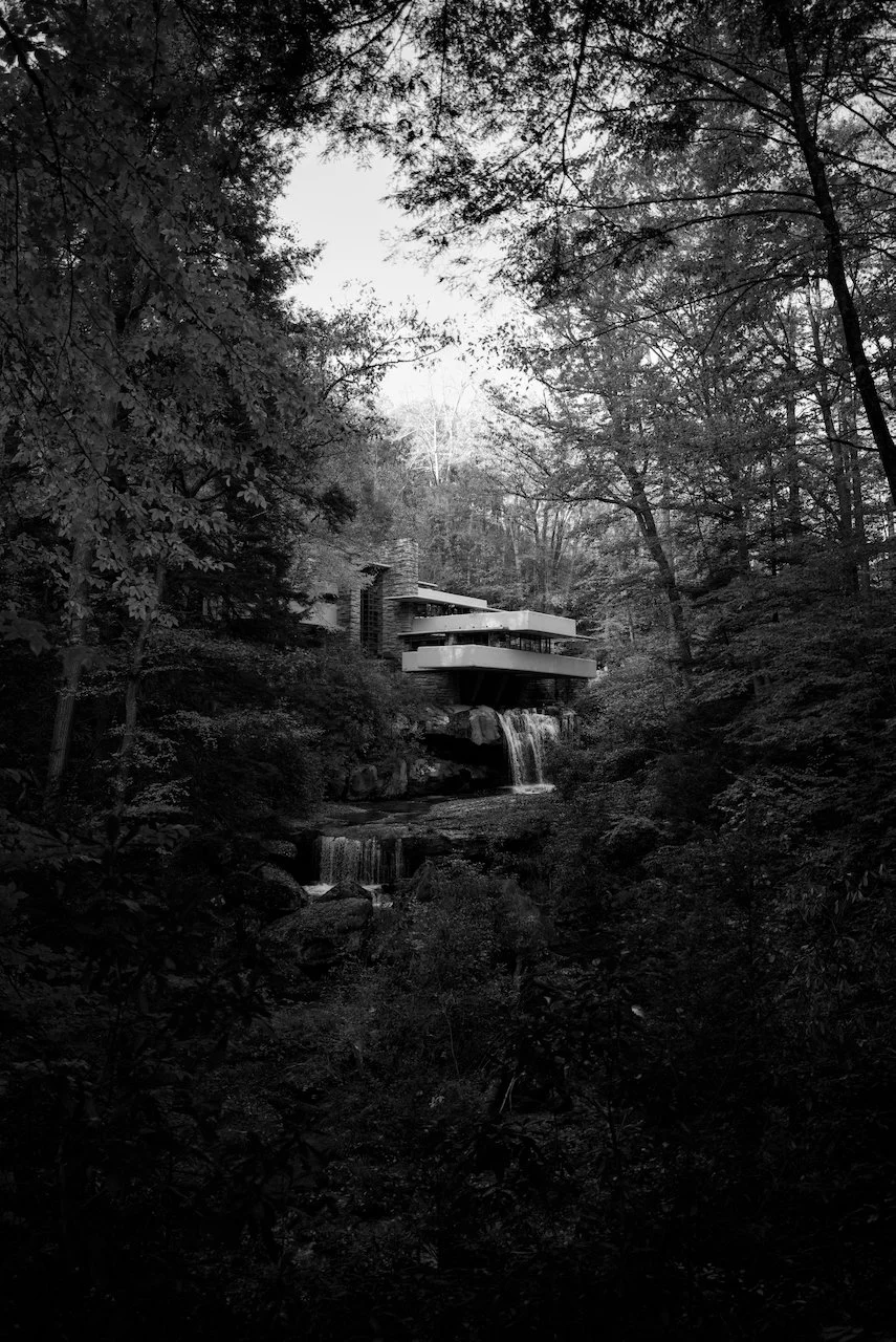 Library - 9 of 11.jpeg