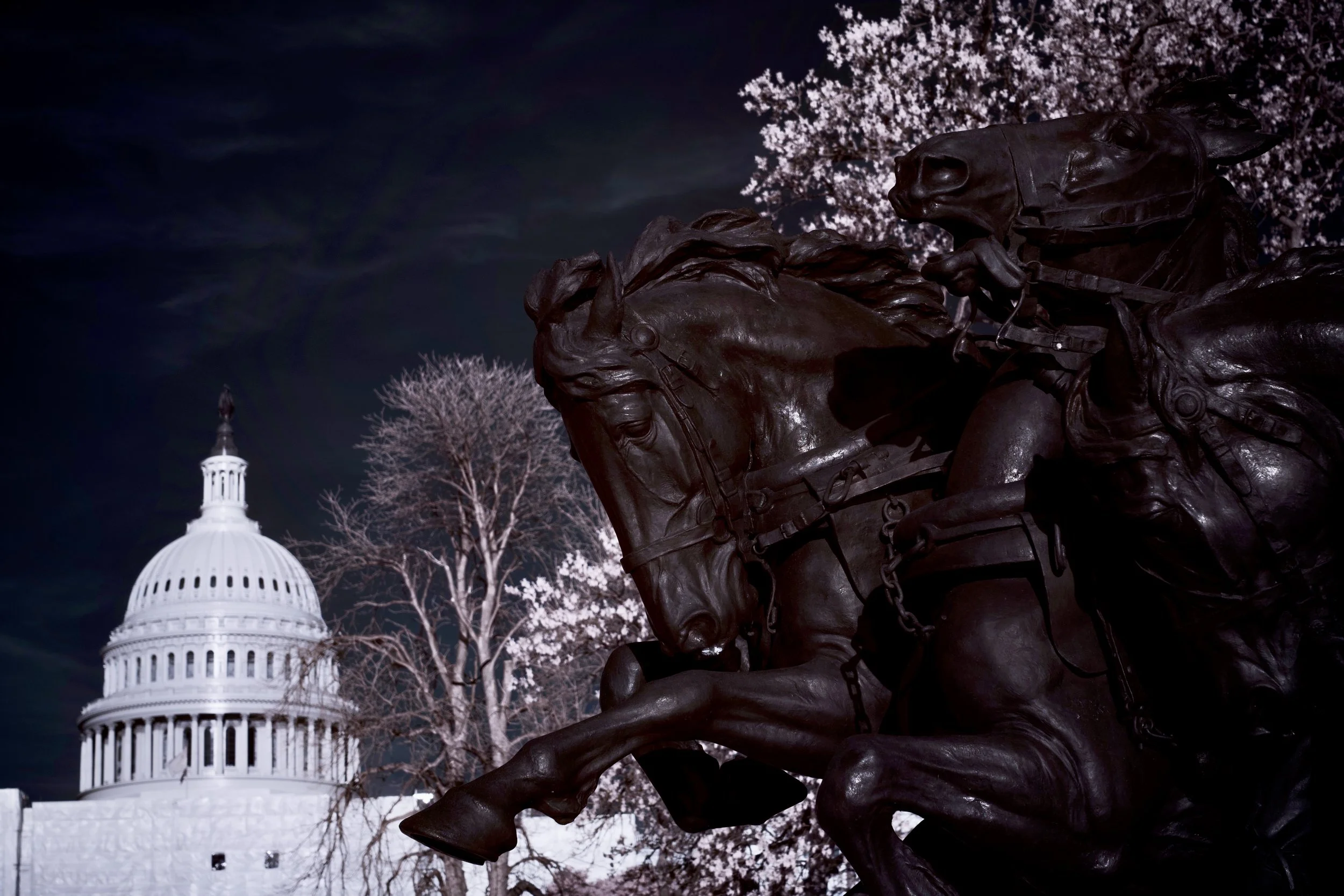Ulysses S. Grant Memorial | Washington DC April 2023