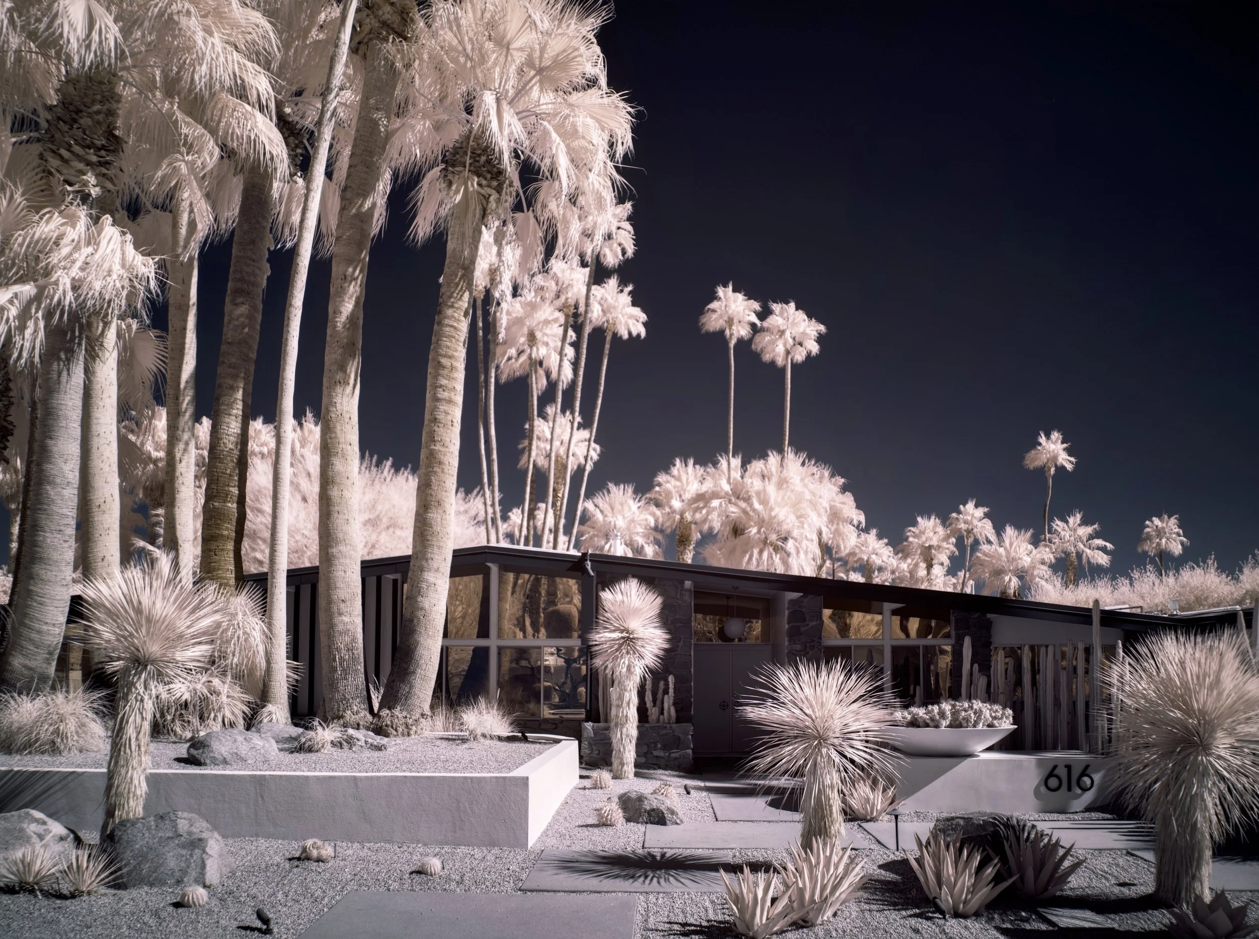 Palm Springs - 5.jpeg