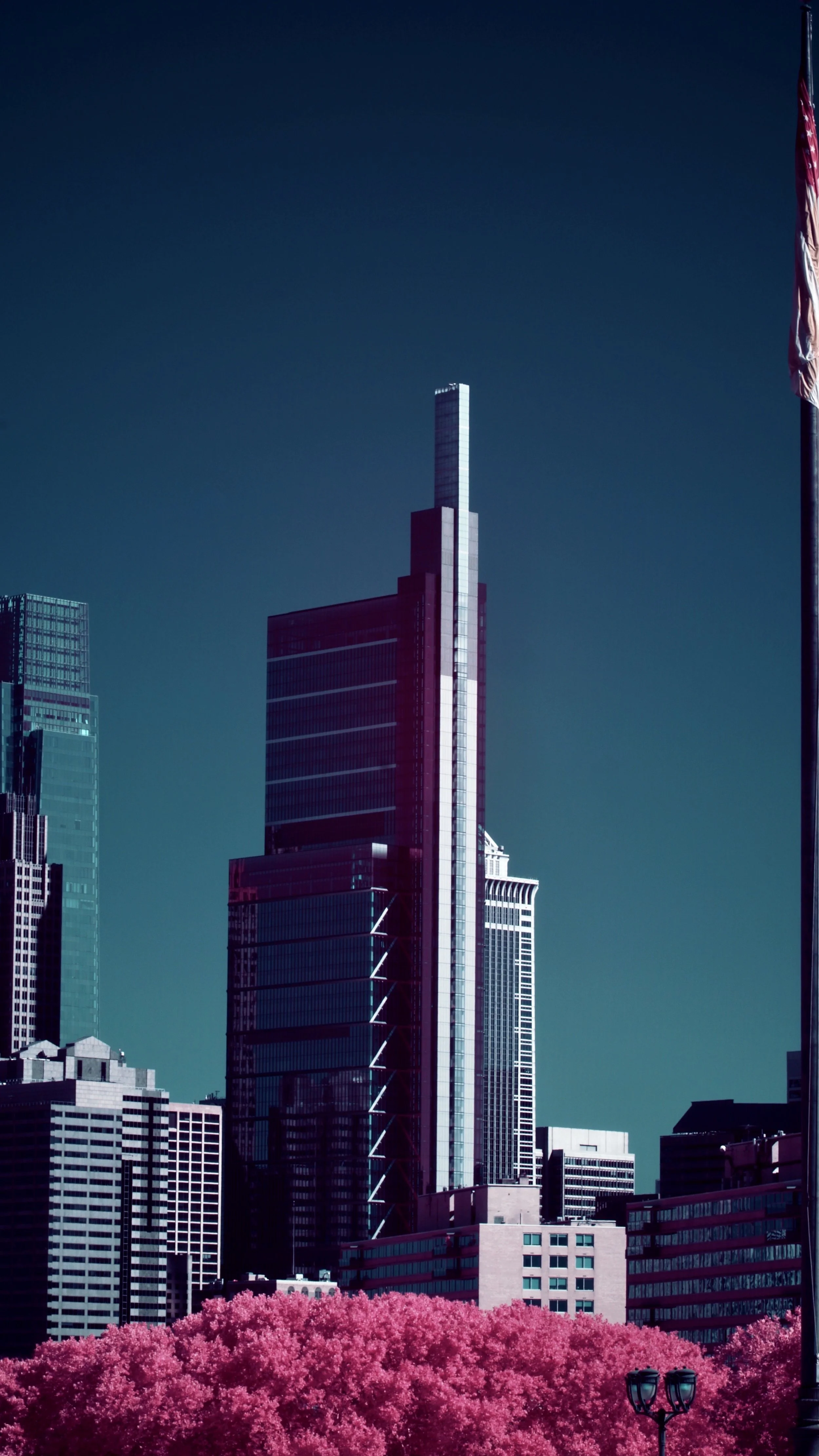 #1 | 590nm | portrait