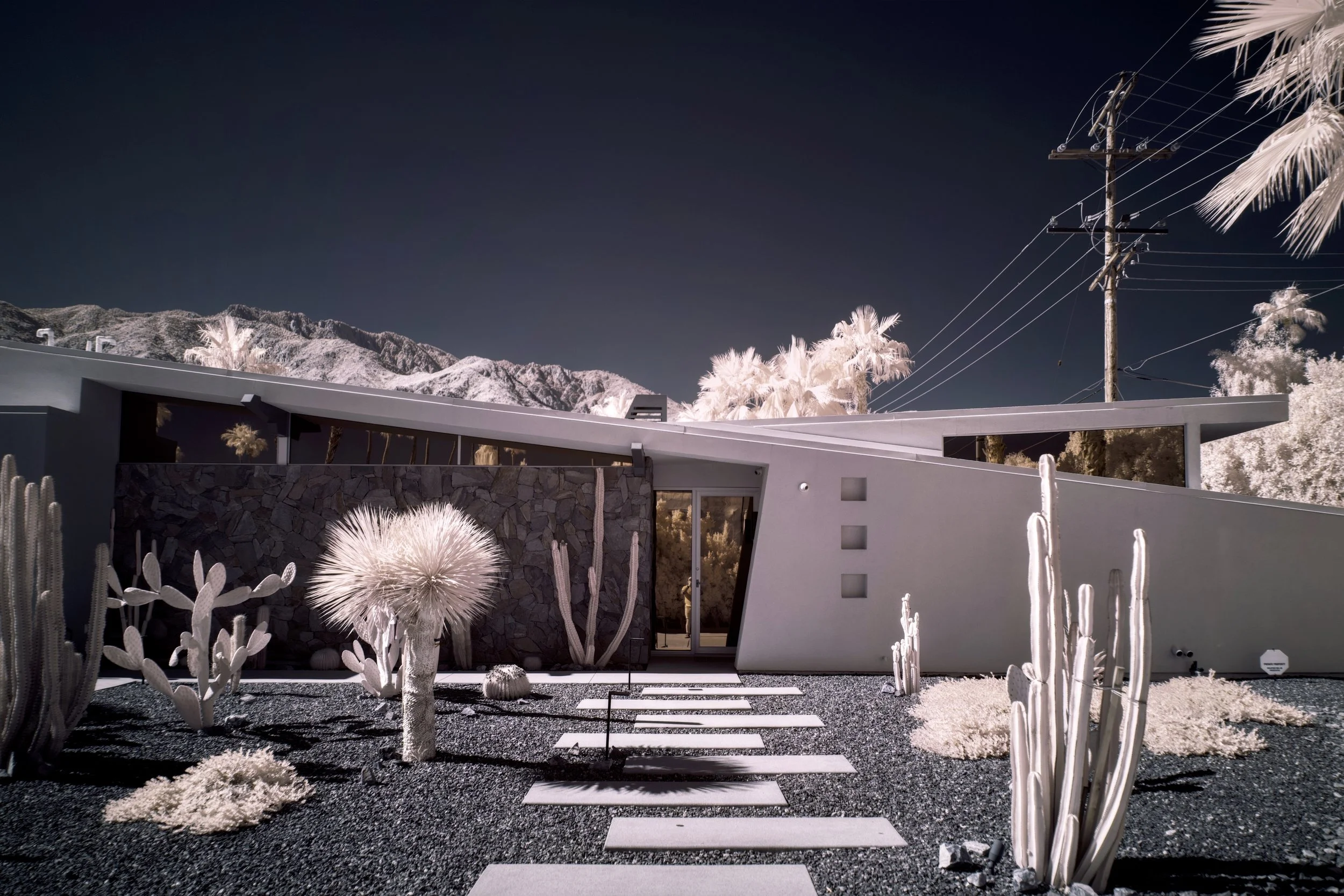 Palm Springs - 3.jpeg