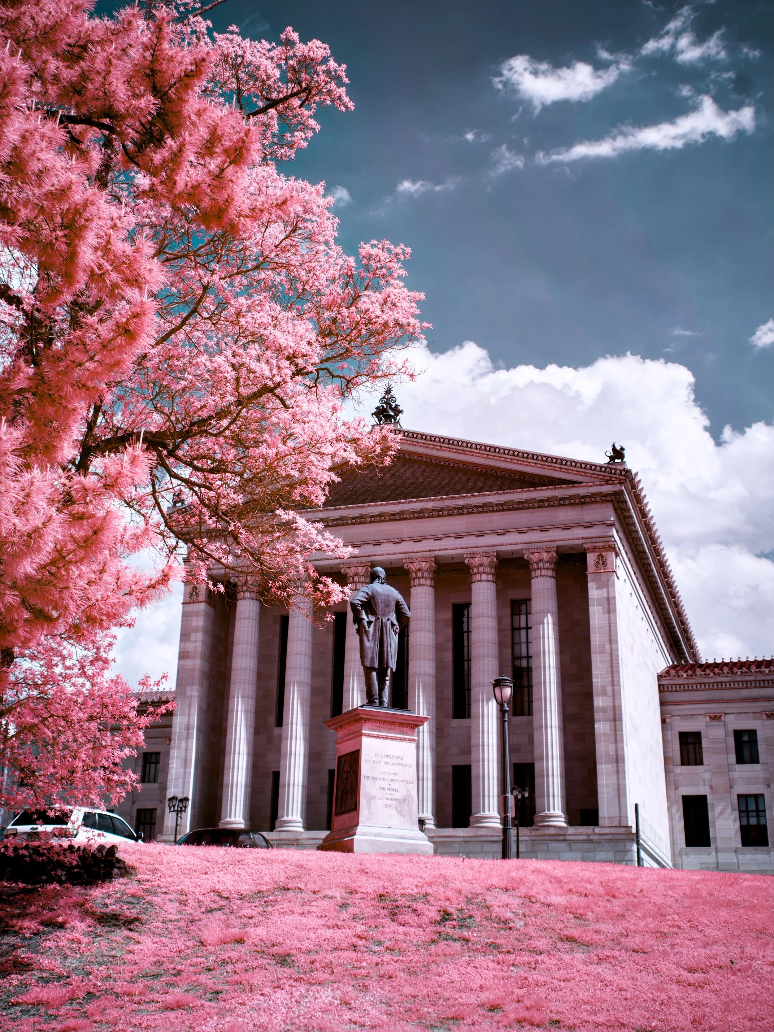 #11 | 590nm | portrait