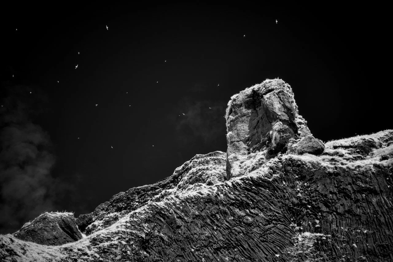 Iceland Prelim - 37.jpeg