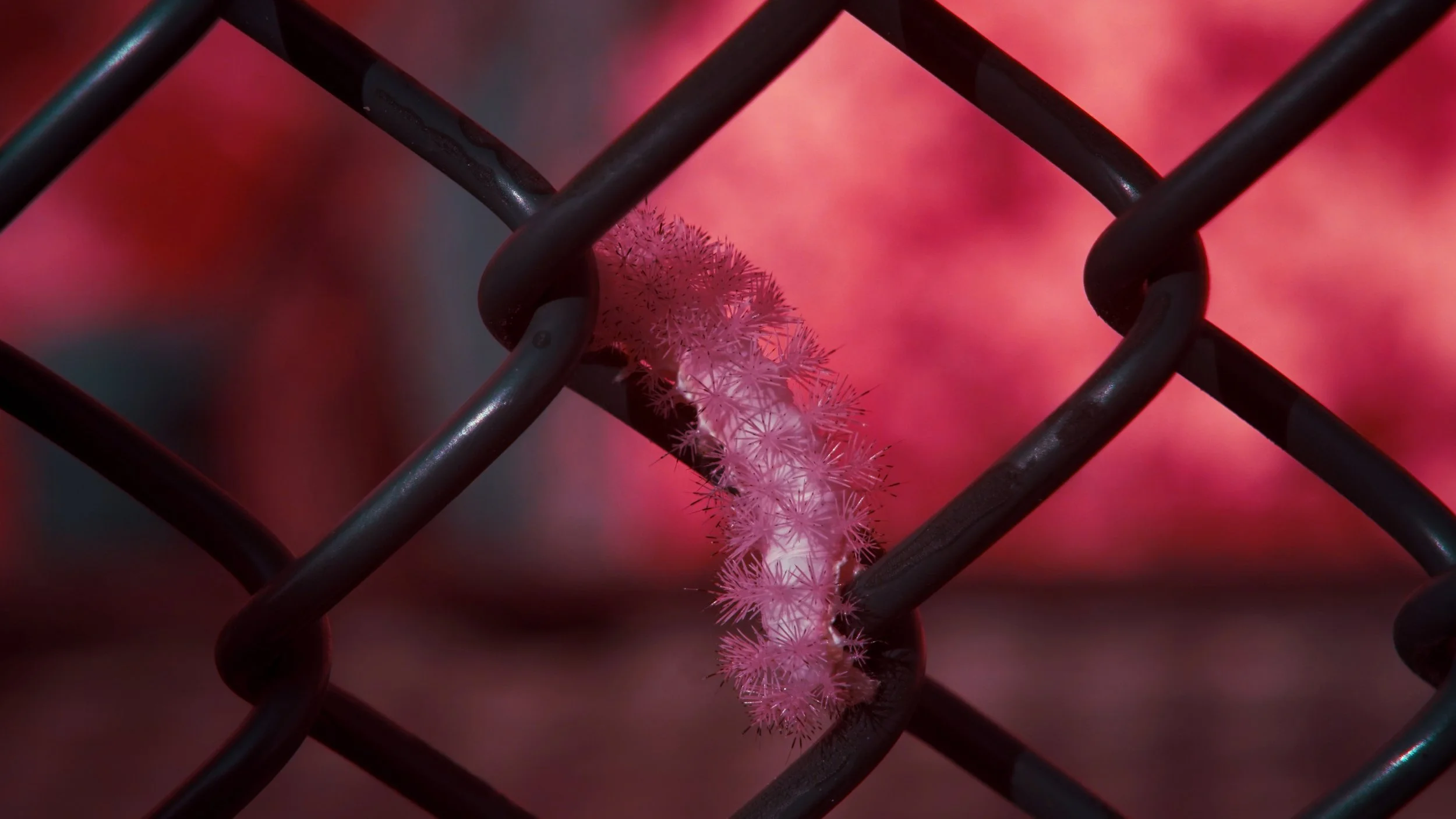 Favorites - 7 of 10.jpeg