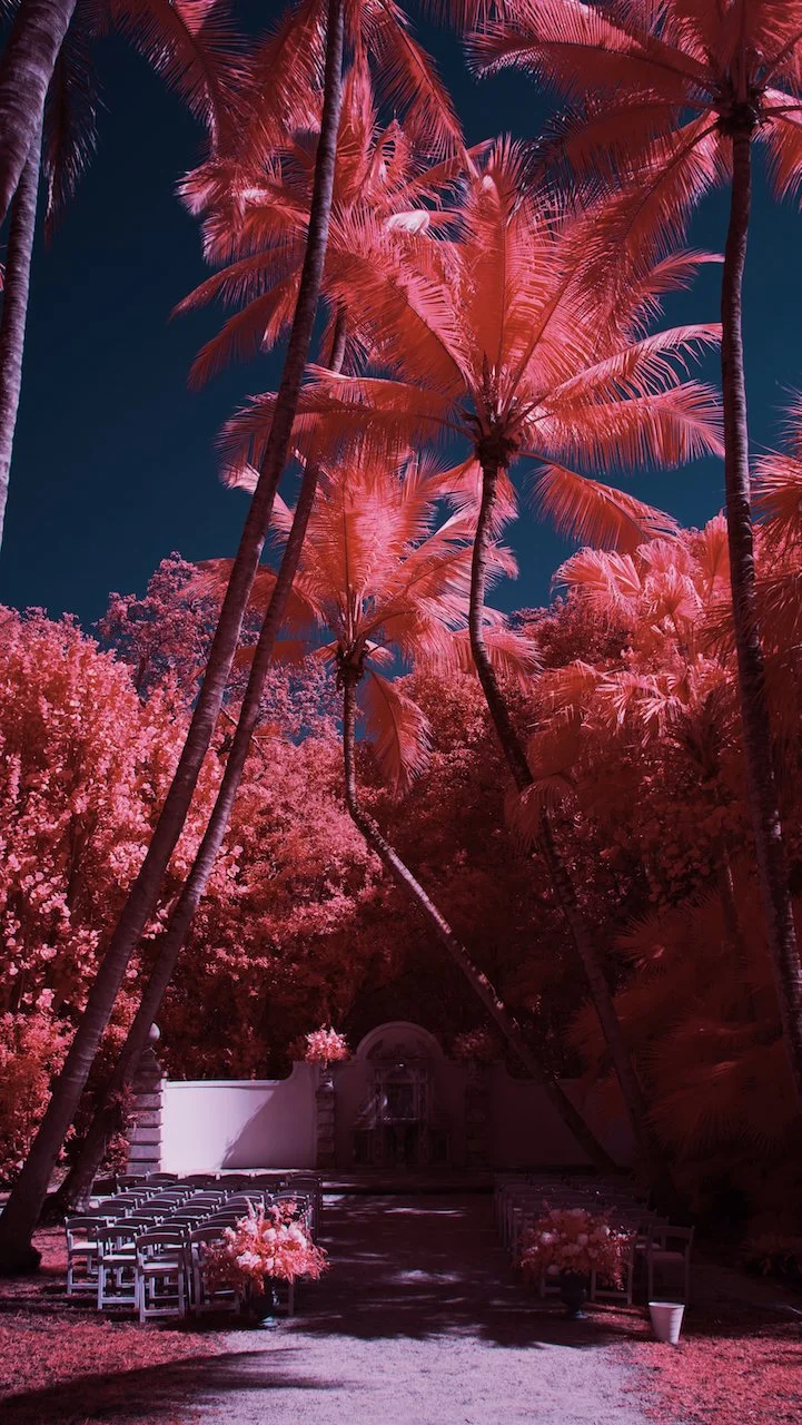 Bolide - 7 of 7.jpeg