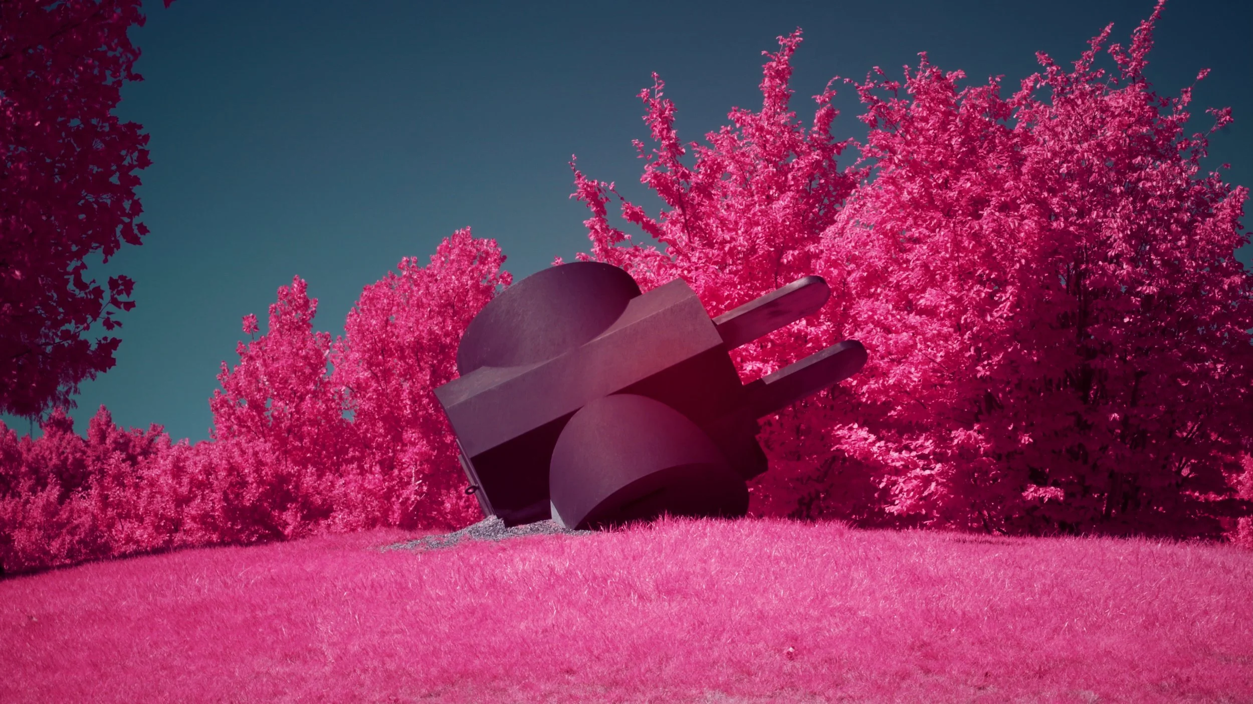 #5 | 590nm | portrait