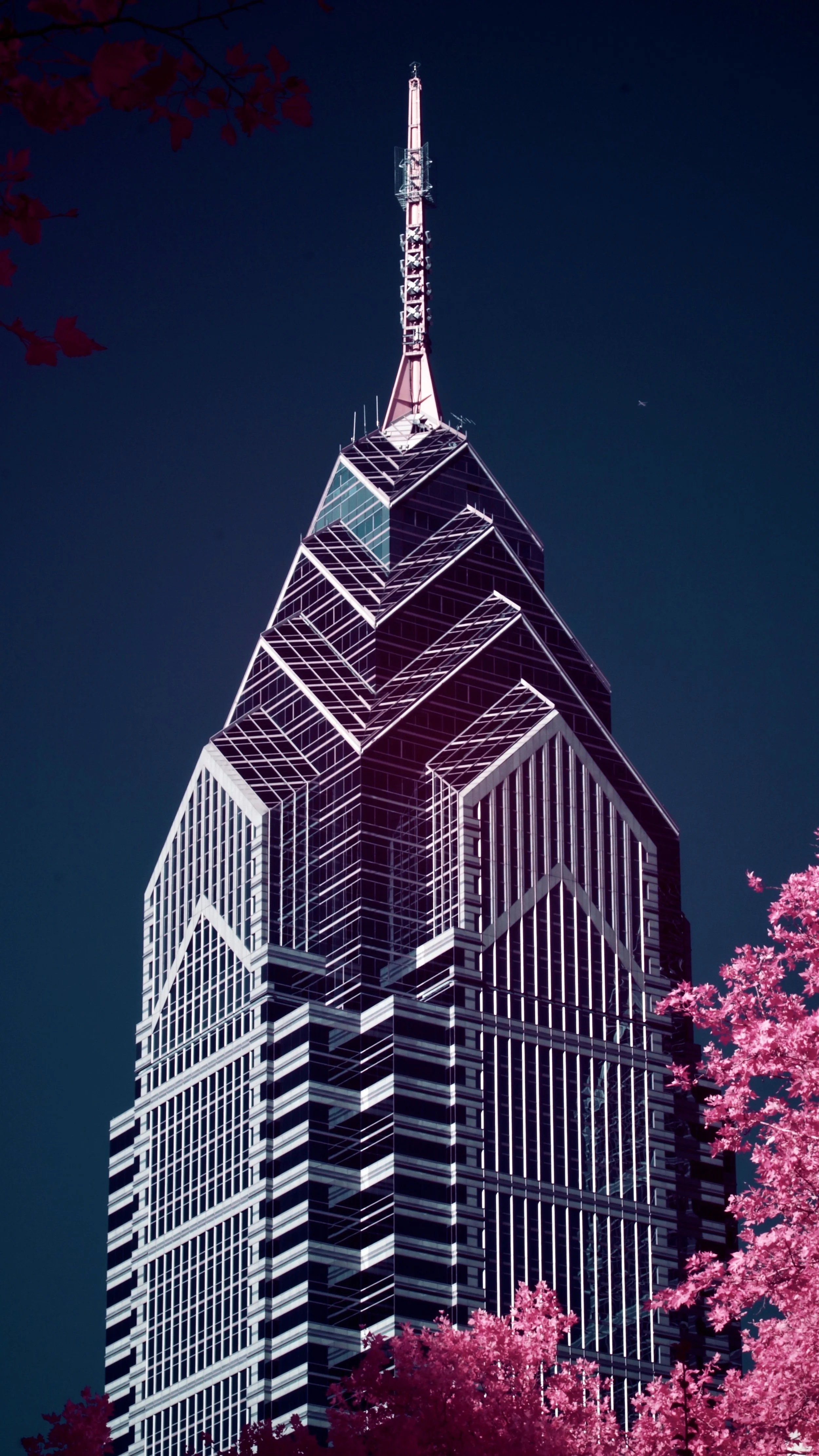 #3 | 590nm | portrait