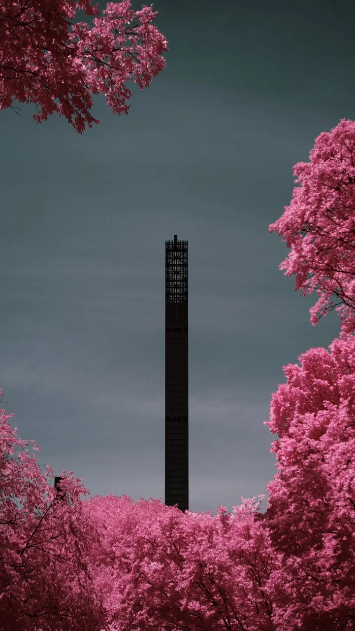 Central Park NYC finals - 2 of 15.jpeg