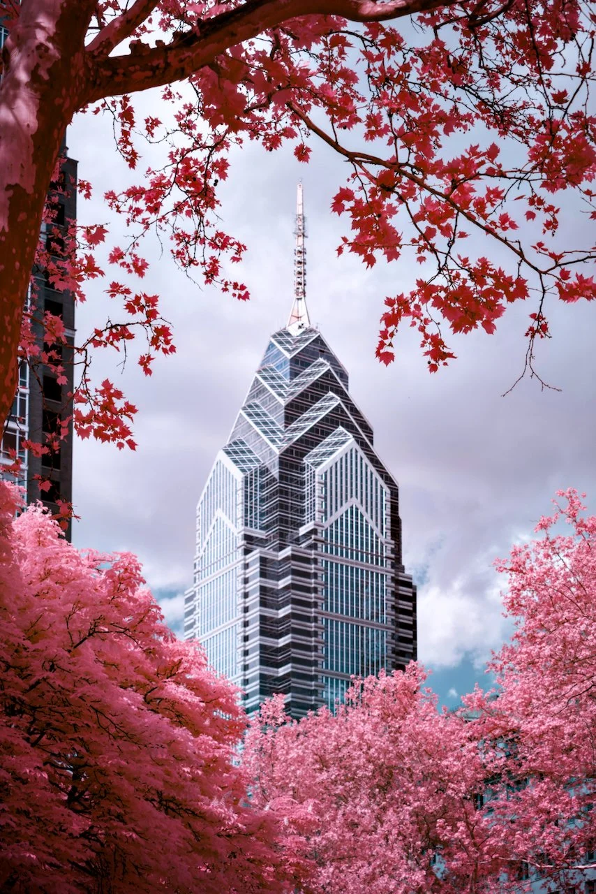 ALL Philly 590 - 6 of 7.jpeg