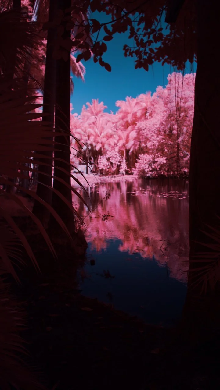 Bolide - 2 of 7.jpeg