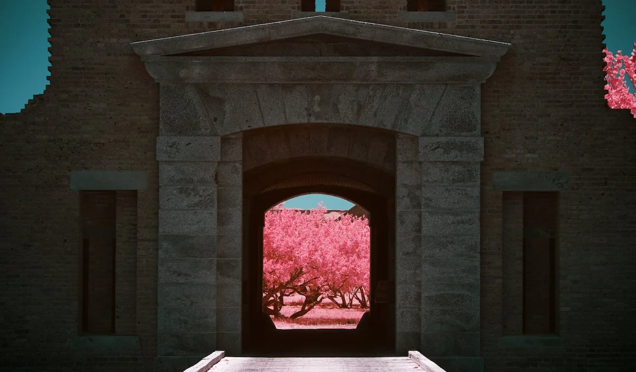 Dry Tortugas - all - 35 of 38.jpeg