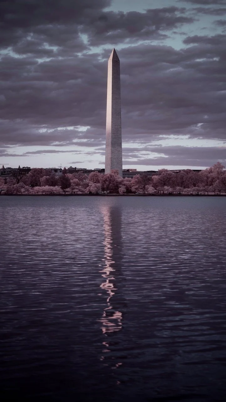 Library - 2 of 11.jpeg