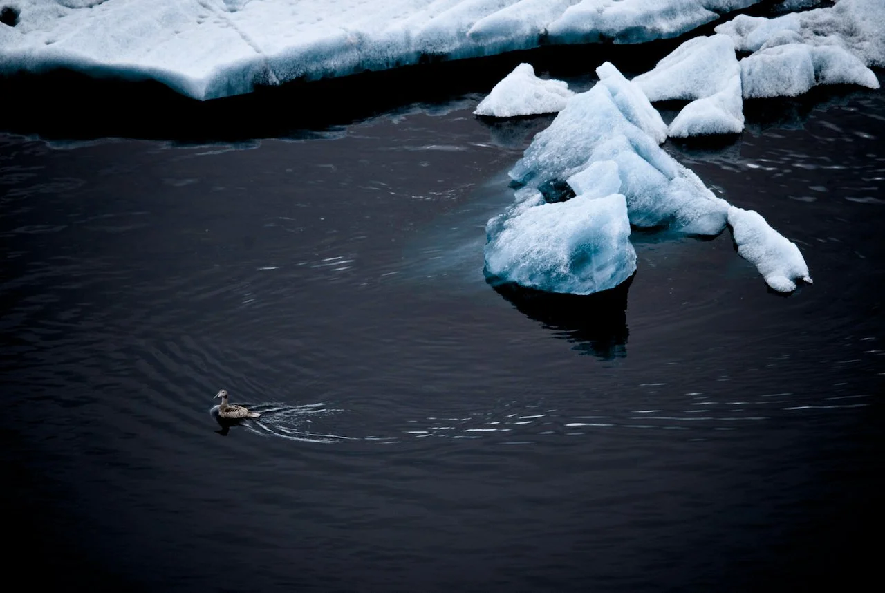 Iceland Prelim - 15.jpeg