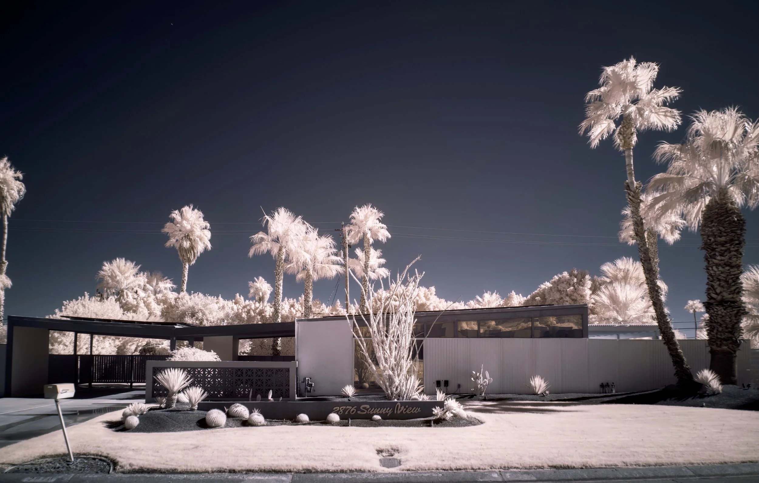 Palm Springs - 2.jpeg