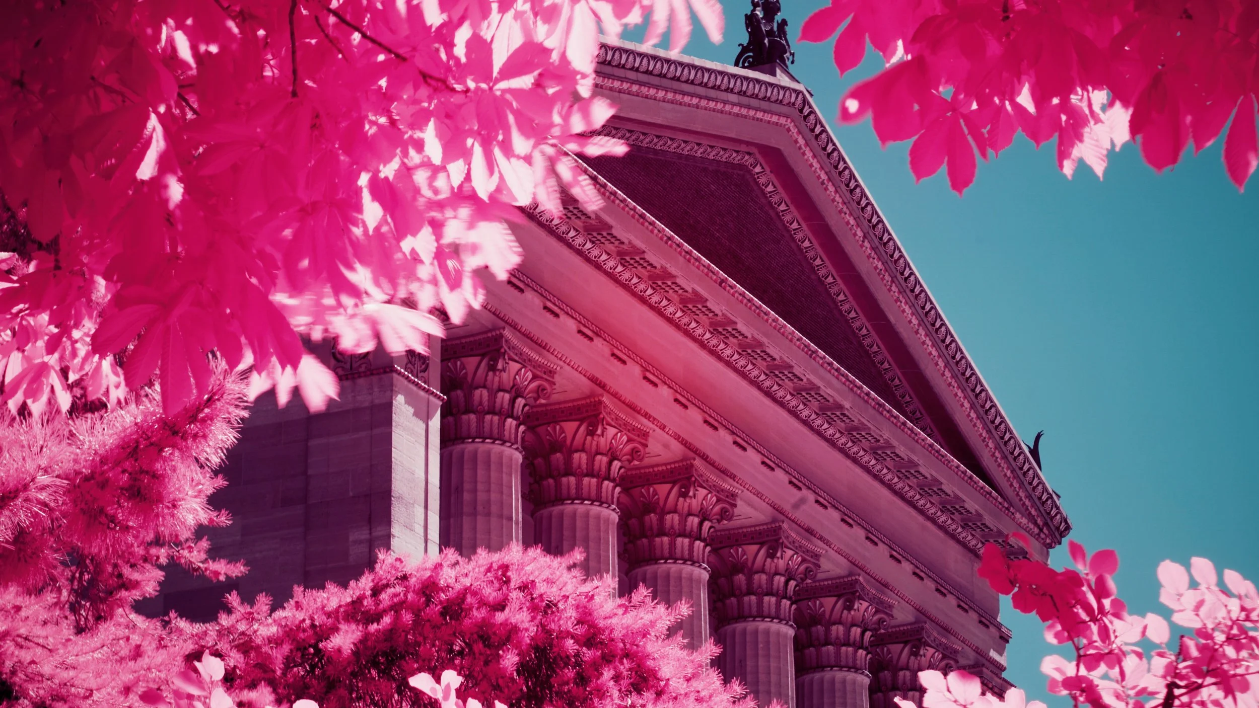 Favorites - 1 of 6.jpeg