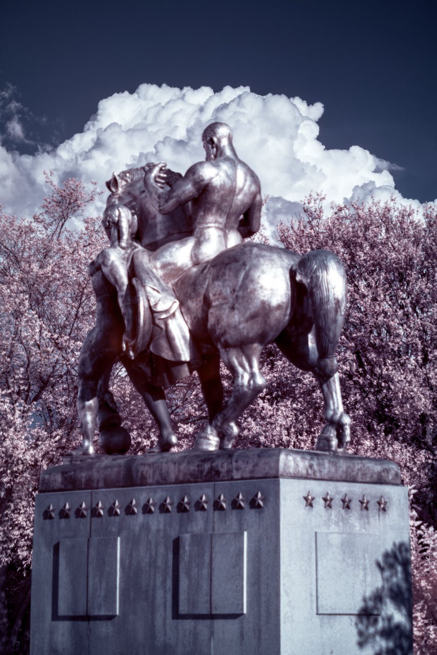 Bolide_720 - 17 of 19.jpeg