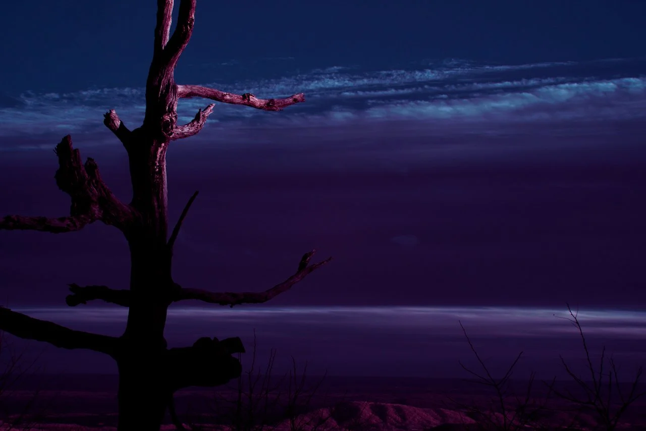 Bolide - 7 of 15.jpeg