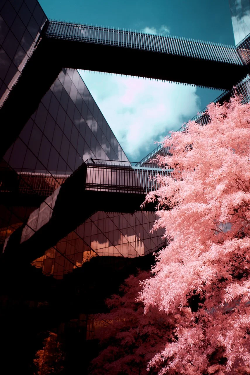 Midtown Center - 2 of 10.jpeg