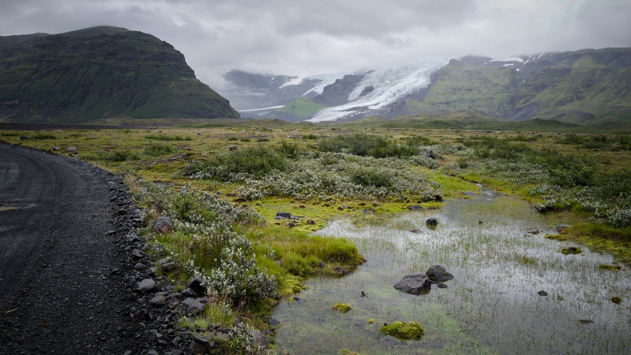 Iceland Prelim - 36.jpeg