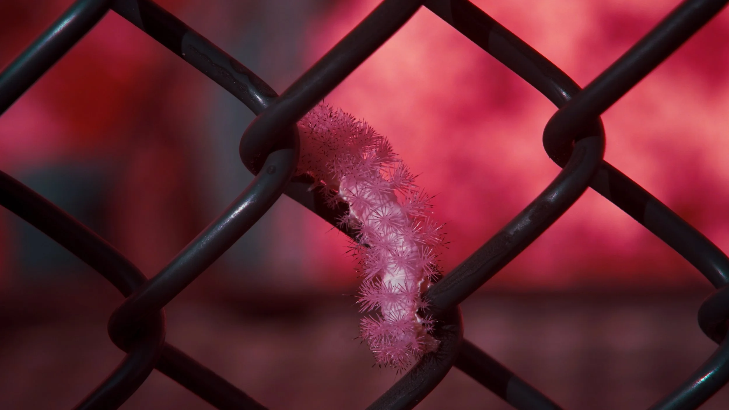 High Bridge Trail, VA