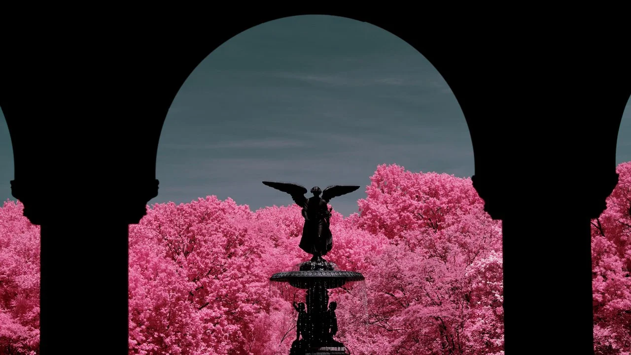 Central Park NYC finals - 8 of 15.jpeg