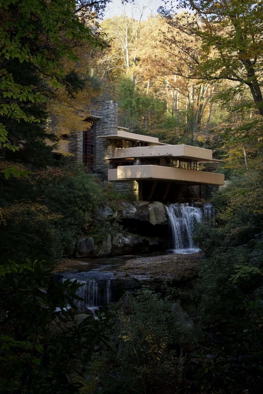 Library - 5 of 11.jpeg