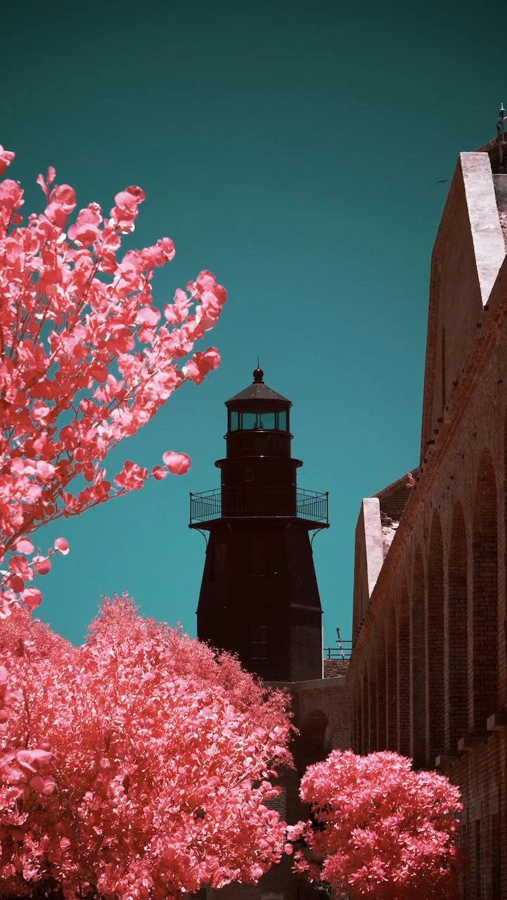 Dry Tortugas - all - 20 of 38.jpeg