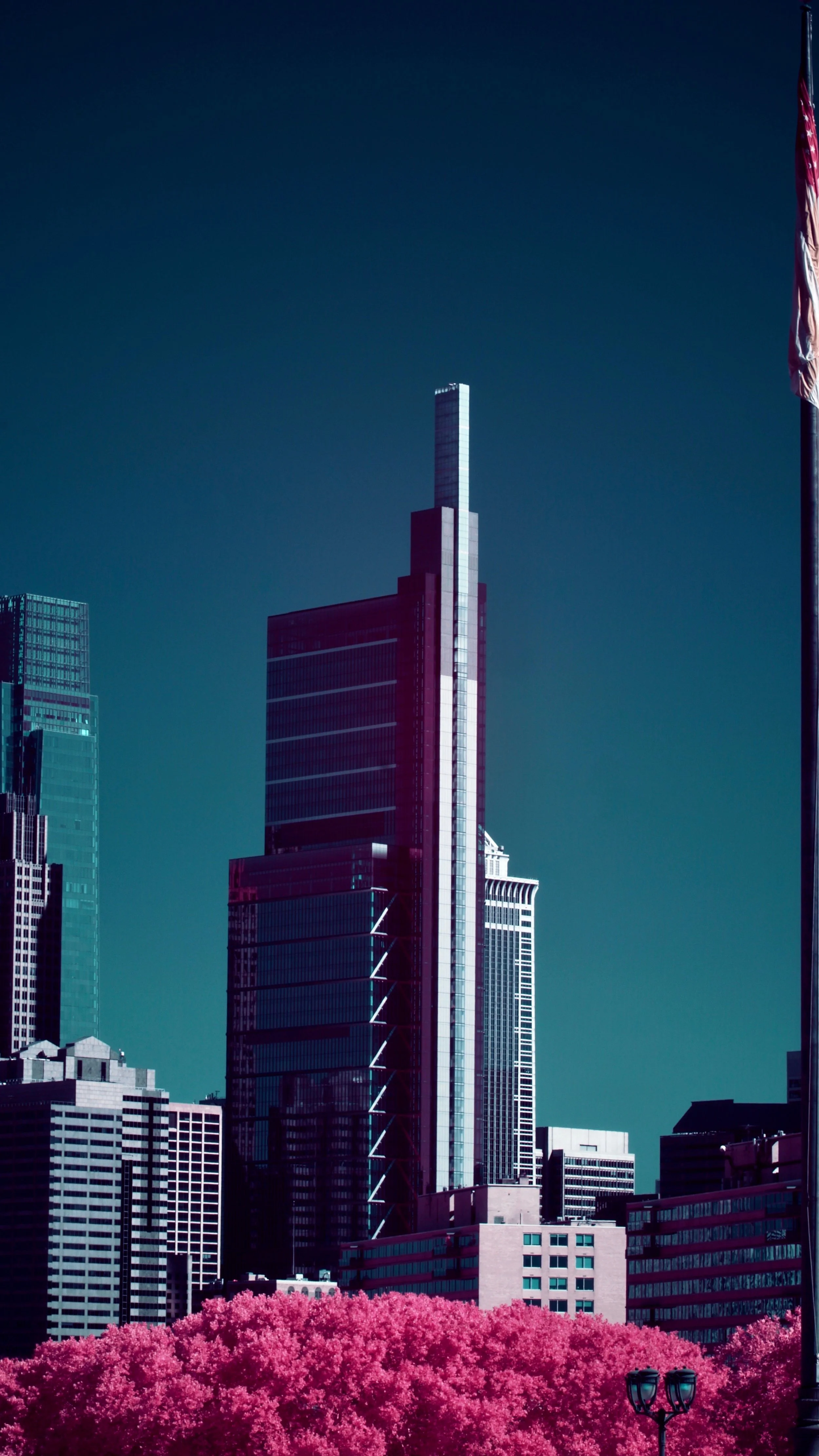 Favorites - 5 of 6.jpeg