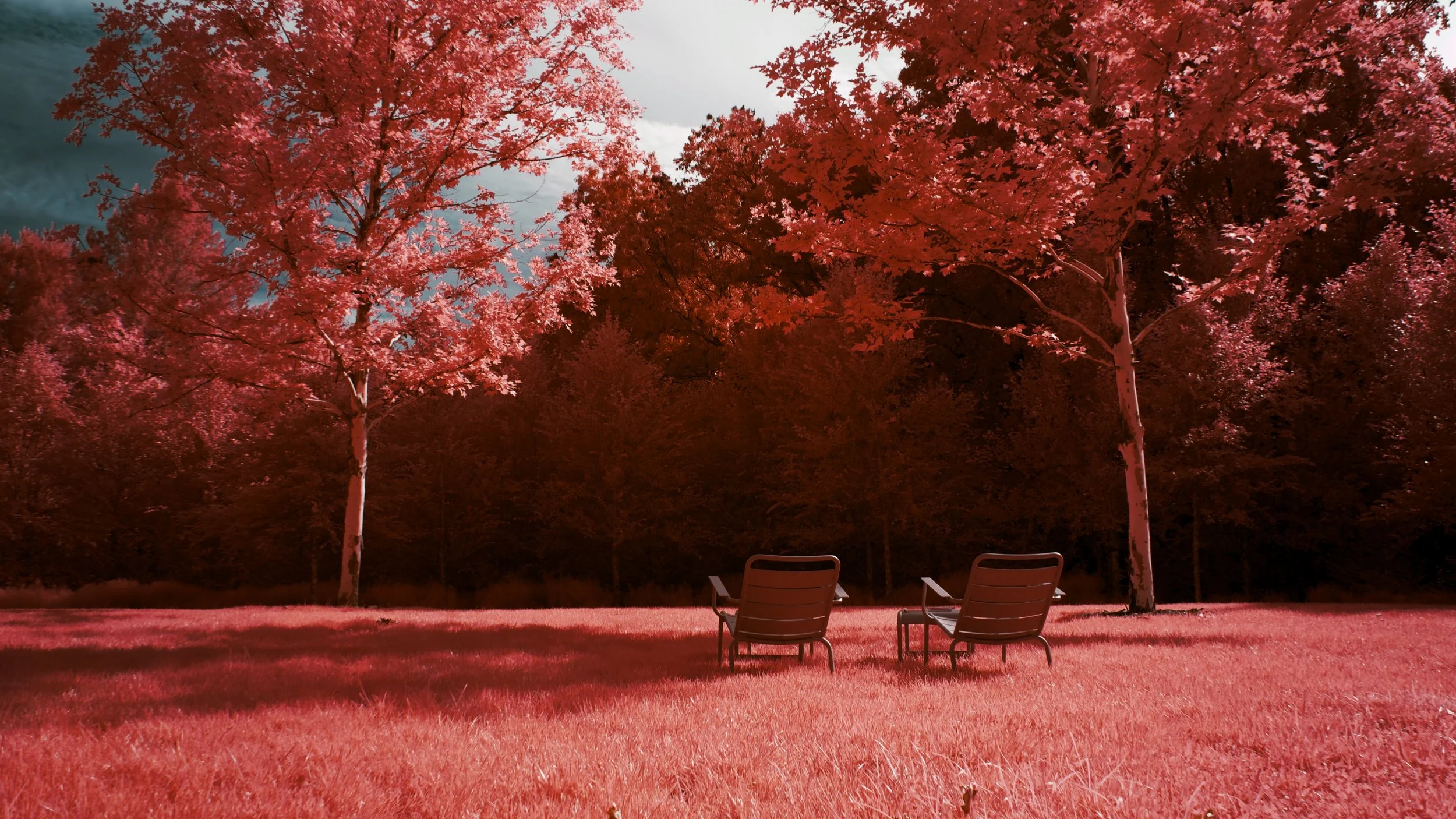 Glenstone | Potomac MD August 2021