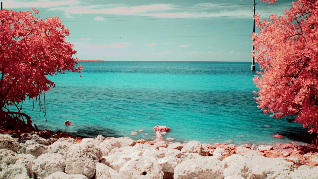 Bolide - 1 of 4.jpeg