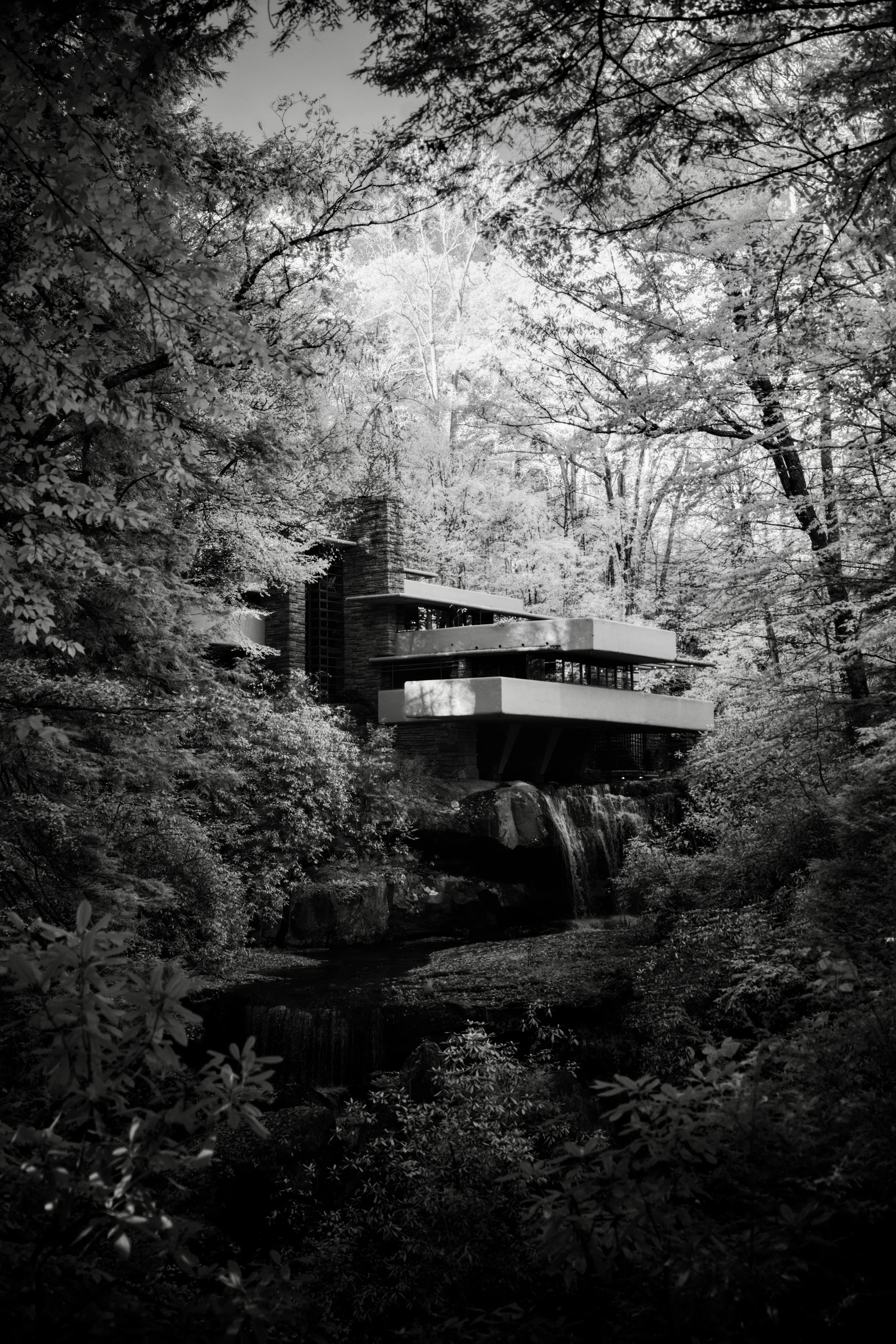 #29 | 720nm mono | portrait