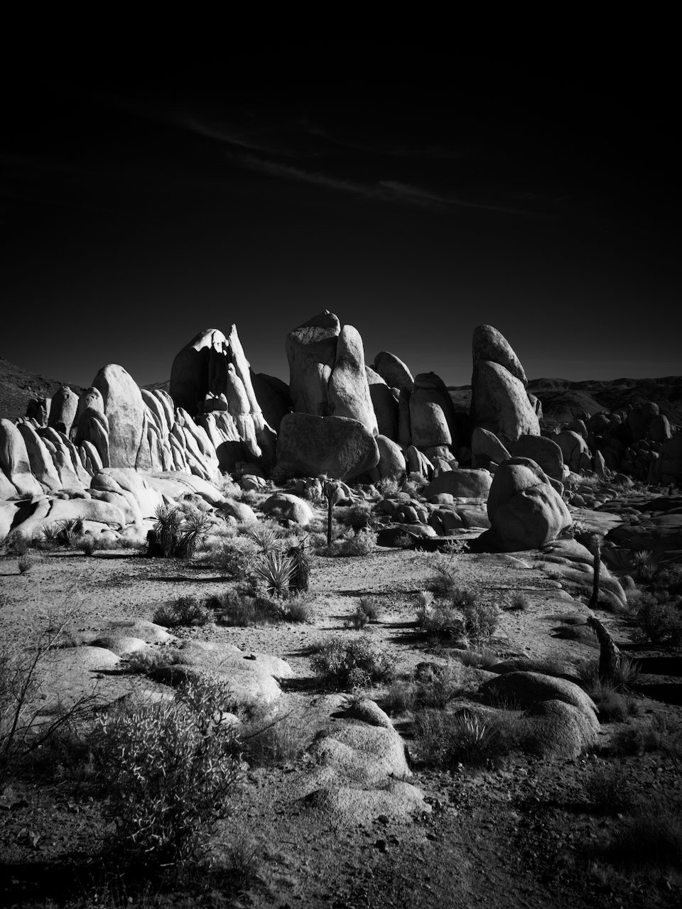 PUBLISH - 21 of 45.jpeg