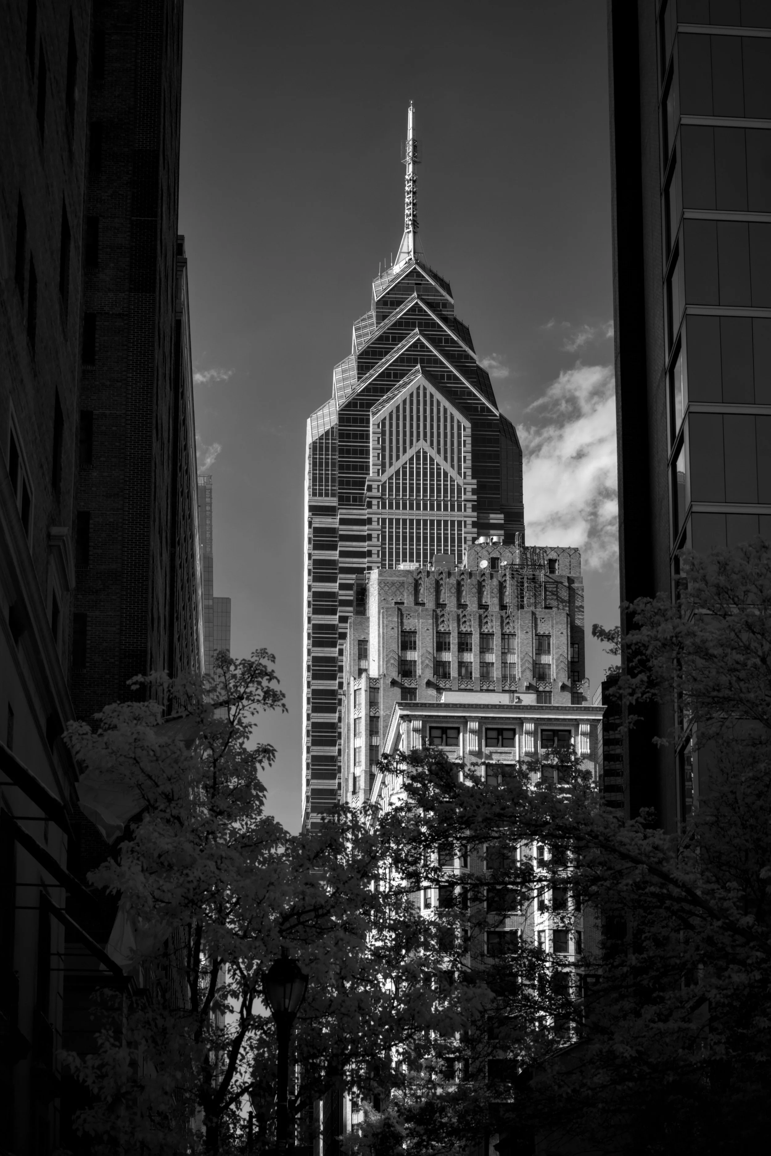 #22 | 720nm mono | portrait