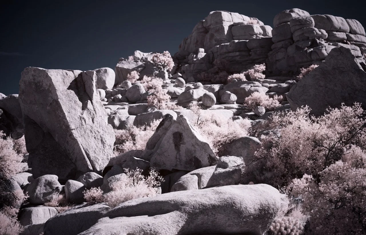 Joshua Tree & Palm Springs master - 2 of 3.jpeg