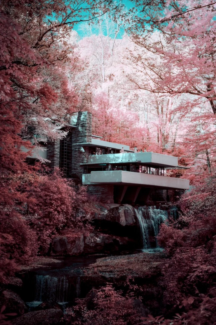 Library - 1 of 11.jpeg