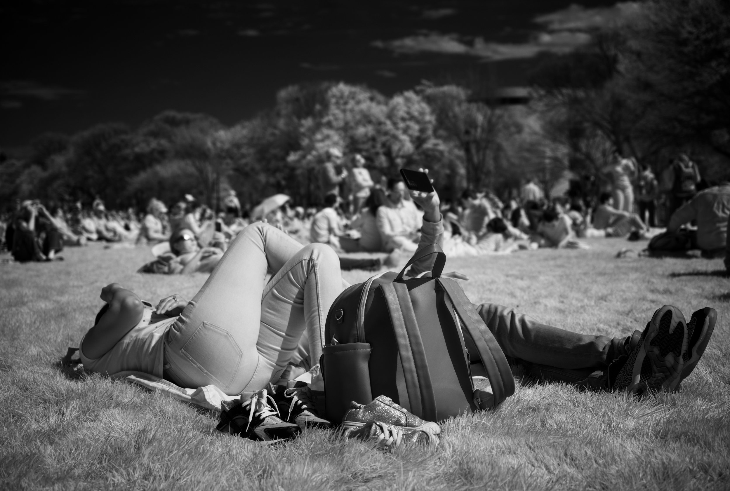 Eclipse 2024 series - 6 of 10.jpeg