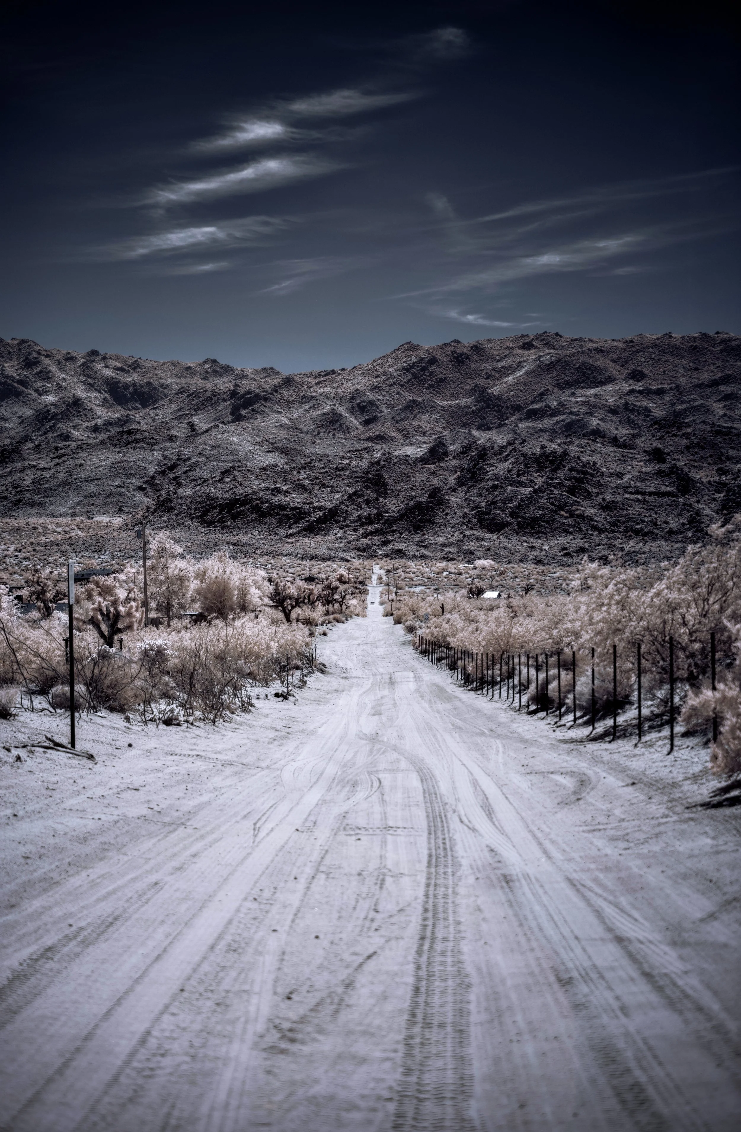 Joshua Tree landscape