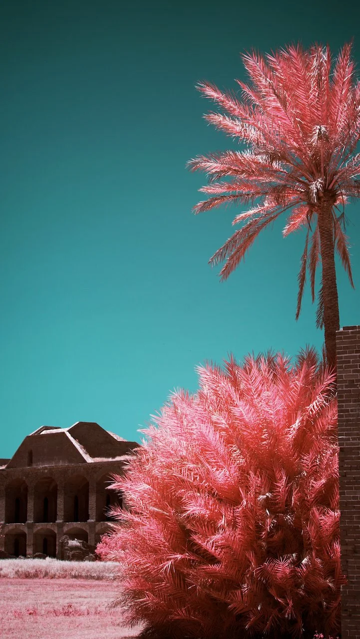 Dry Tortugas - all - 26 of 38.jpeg