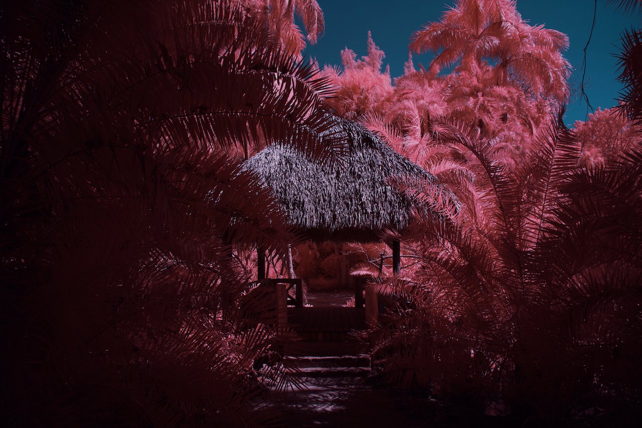 Bolide - 1 of 7.jpeg