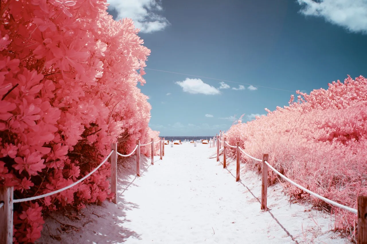 Results for- april 2021 - 5 of 11.jpeg