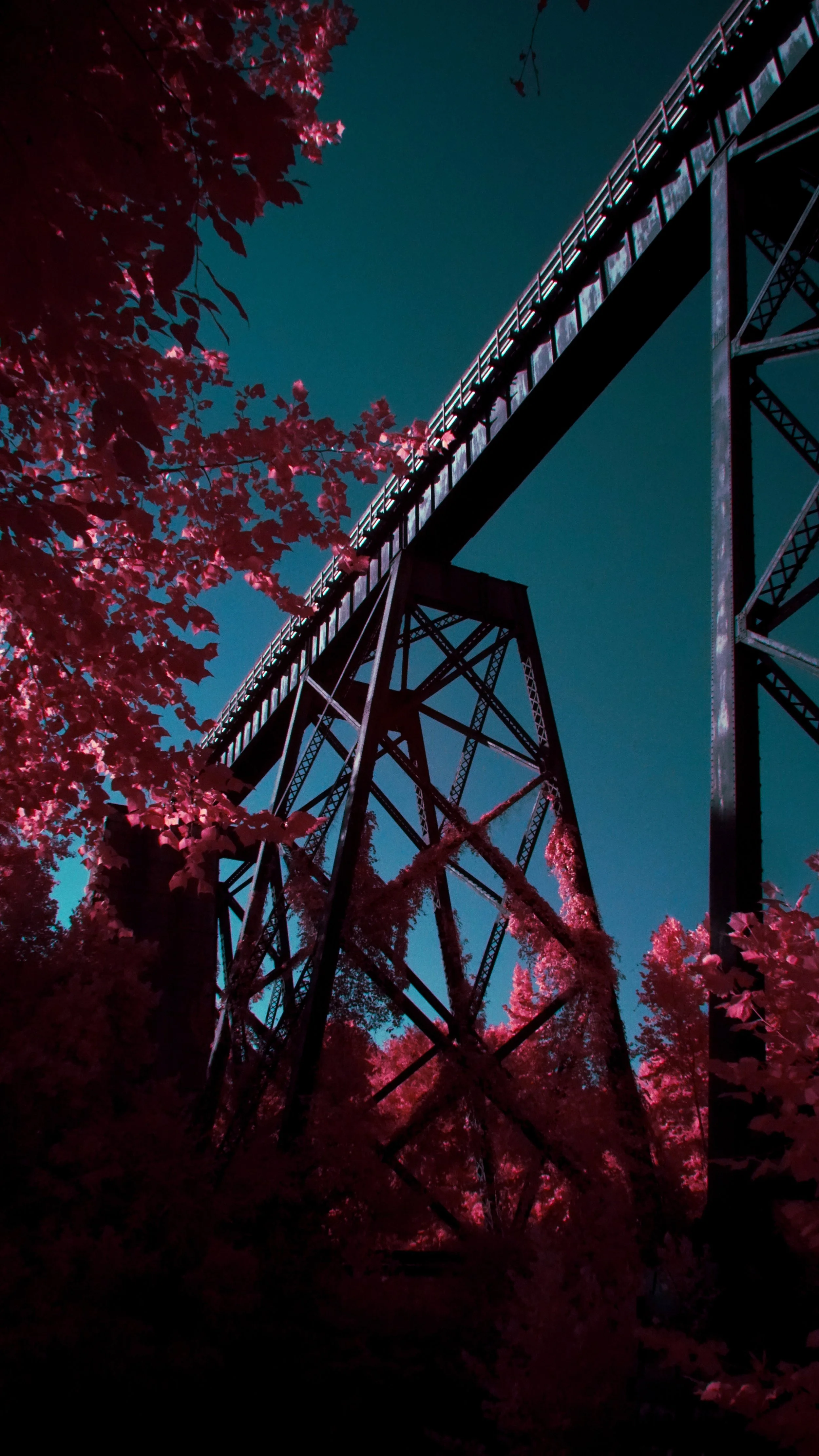 Favorites - 10 of 10.jpeg