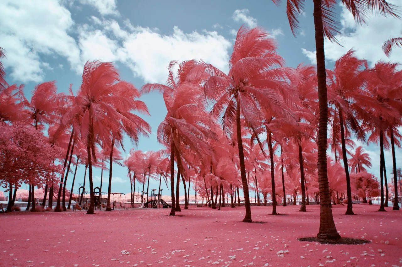 Results for- april 2021 - 3 of 11.jpeg