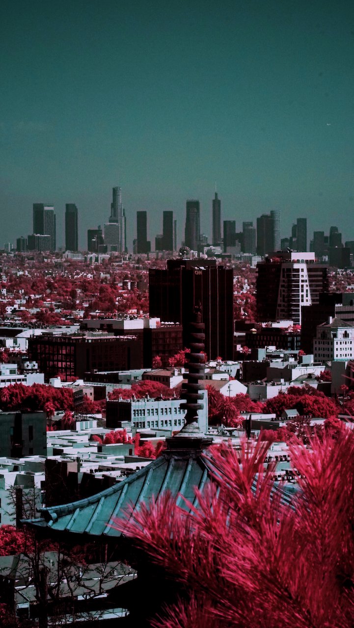 Yamashiro & Pagoda, viewing downtown LA